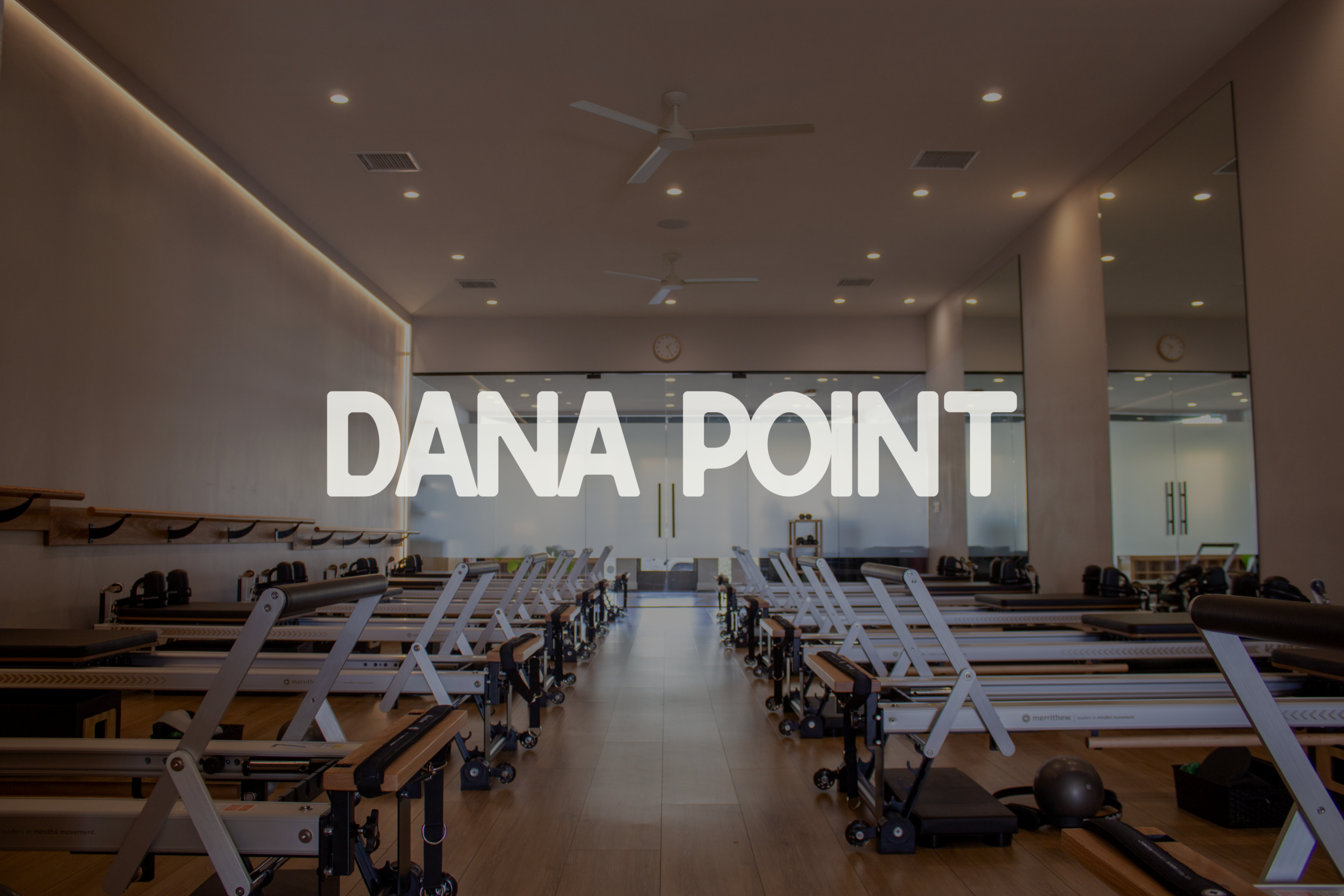 DANAPOINT2