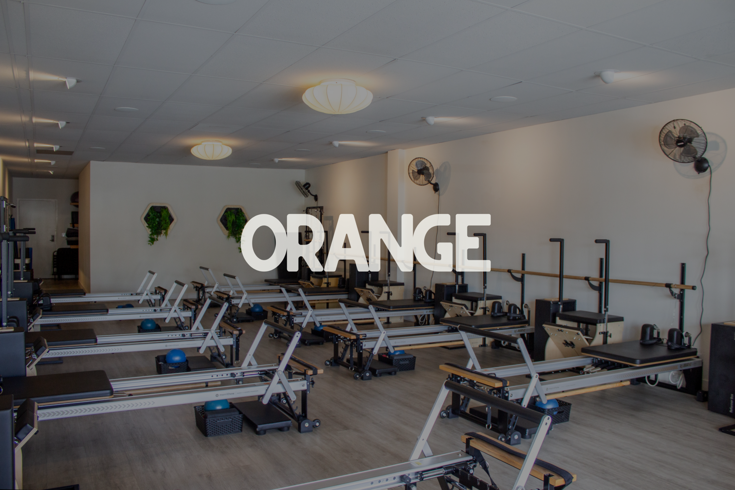 ORANGE2